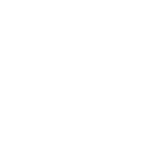 播放